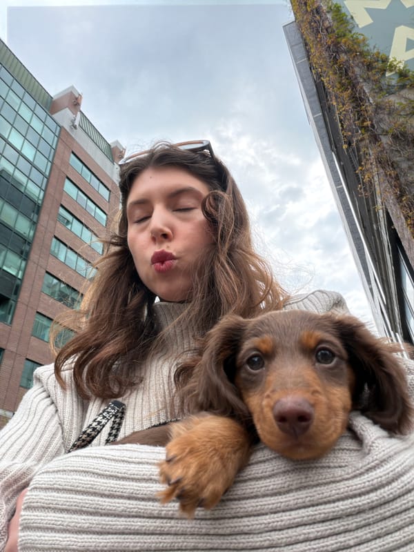 Montreal moments: puppy kisses and portable toilet delivery