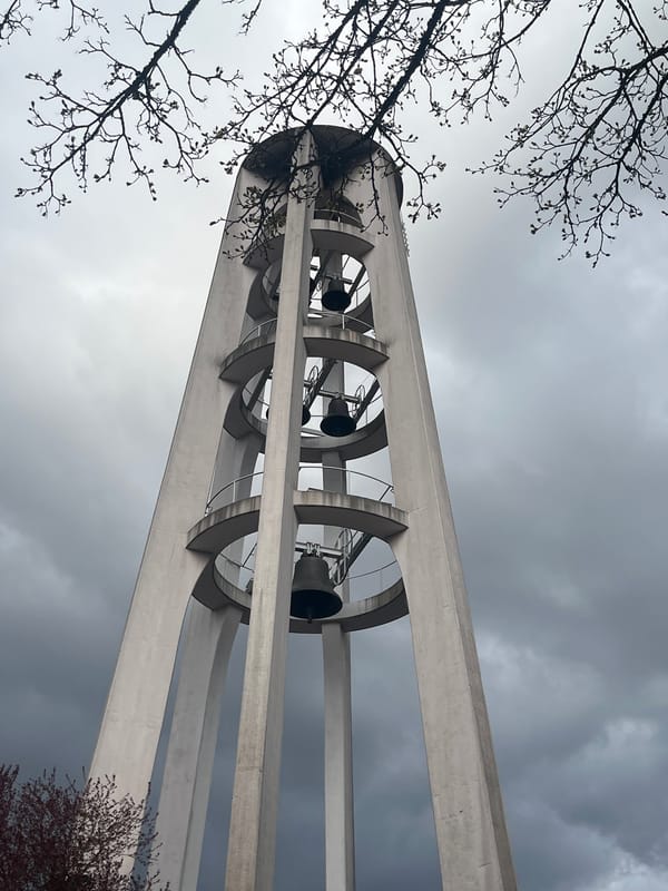 Lunch time moments captured across Saarbrücken