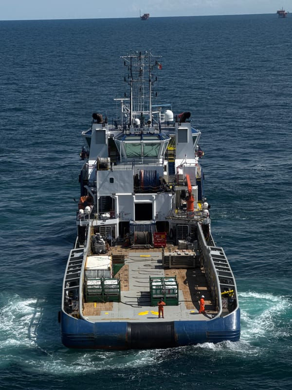 Supply vessels and tugboats working in open Italian waters