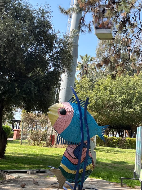 Morning beach scenes captured at Damlataş Beach, Alanya