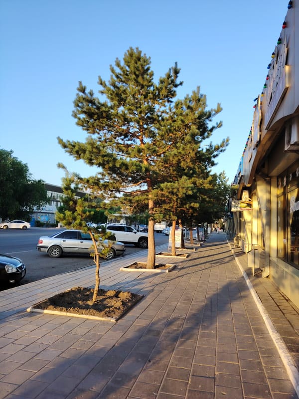 Street-level look at central Temirtau on a sunny afternoon