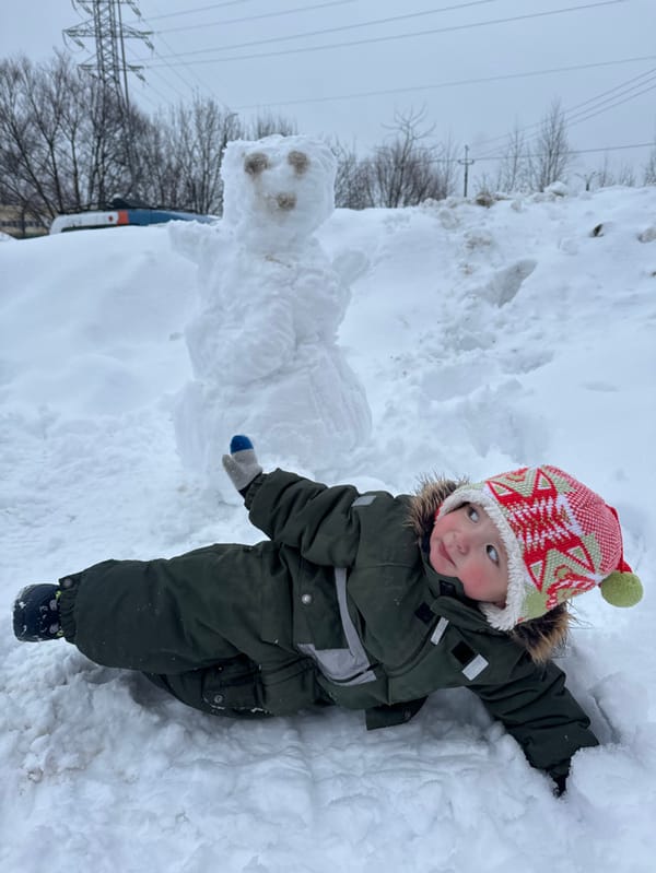 Families enjoy winter afternoon in snowy Russian suburbs