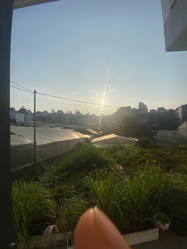 Visitor documents art and landscapes in Đà Lạt Vietnam