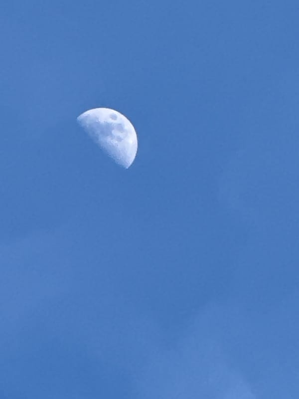 Afternoon moon and sleeping cat observed in Pavlikeni, Bulgaria