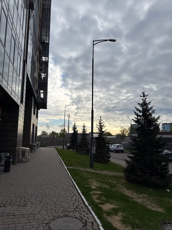 Evening Corgi walk documented across Krasnoyarsk streets and parks