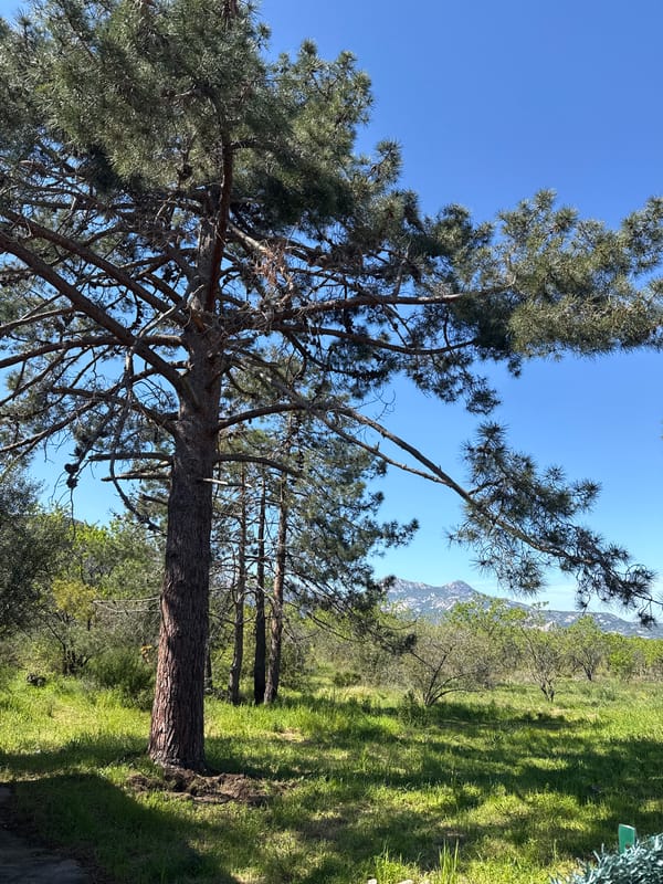 Clear skies over natural landscape captured in Calenzana, France