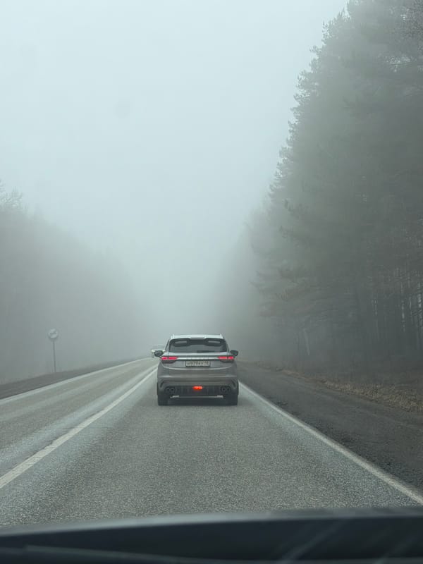 Gray car travels foggy road in Iiul'skoe, Russia