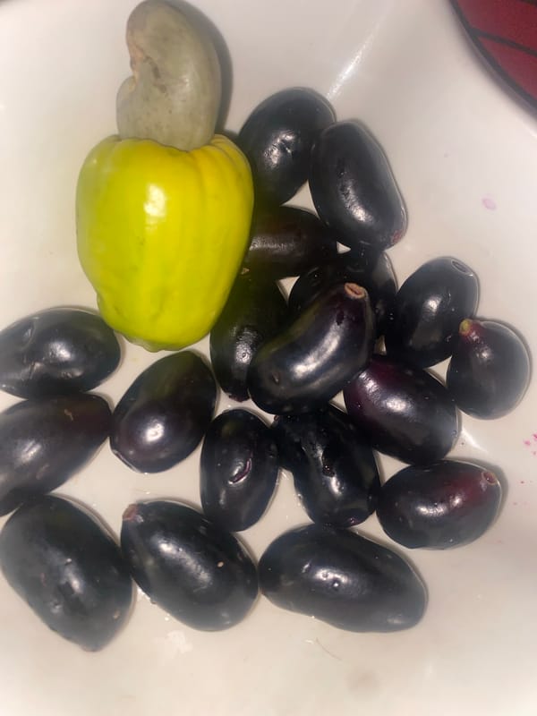 Java plums and cashew fruit displayed in Rido, Nigeria