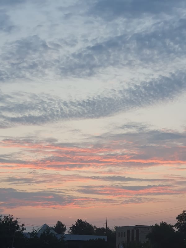 Sunset sky and wildflowers caught in the same moment