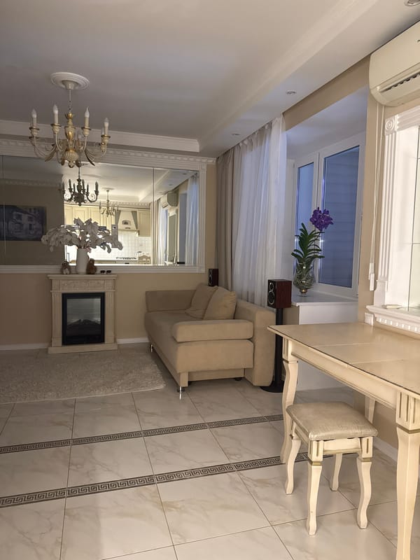Inside a quiet Moscow apartment, living room and kitchen.