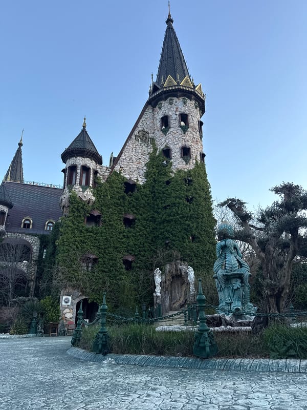 Medieval castle tower with ivy observed by witness