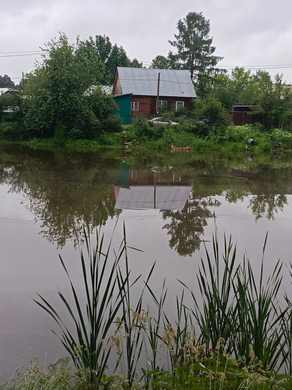 Morning after rain documented in Chaikovsky park with dog