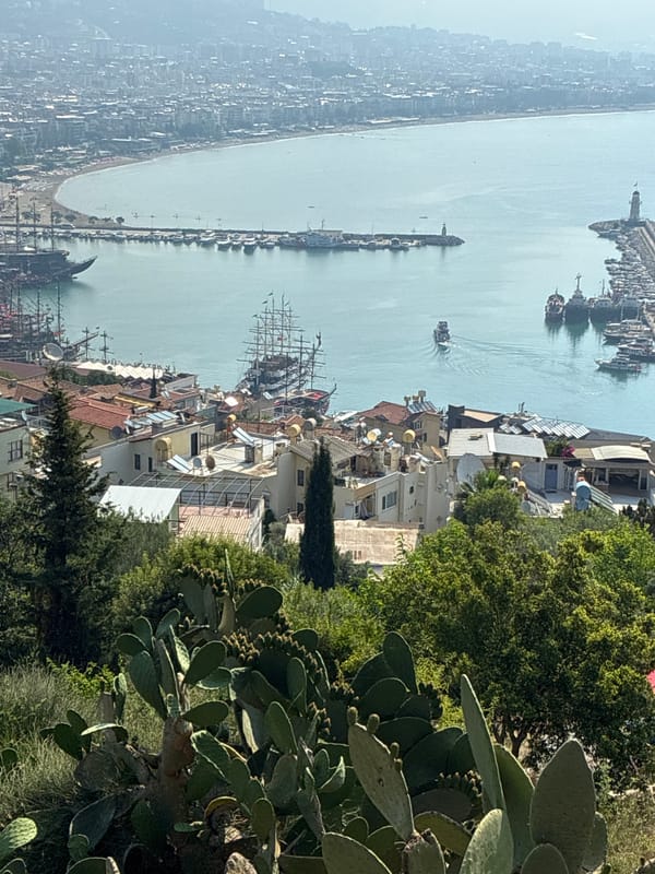 Morning scenes from Alanya: cats, flowers, and coastal views