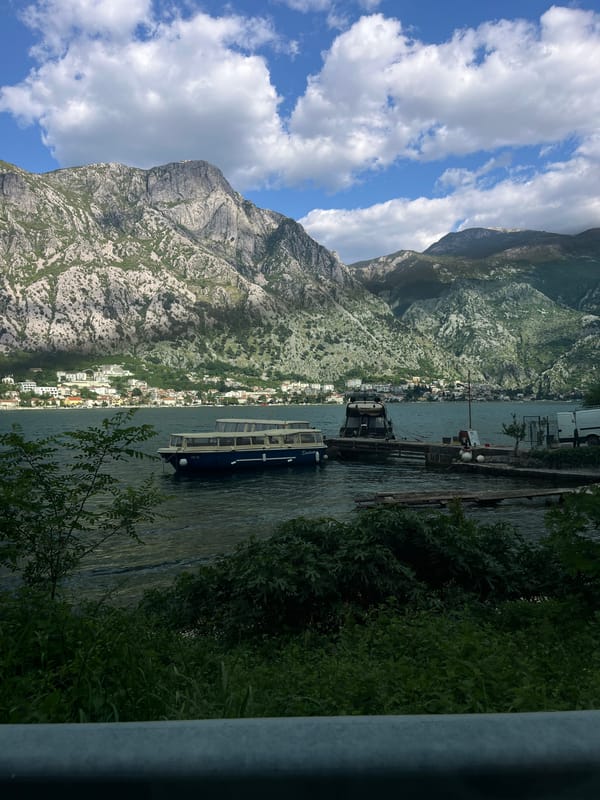 Tourist catamaran spotted carrying passengers in Bay of Kotor