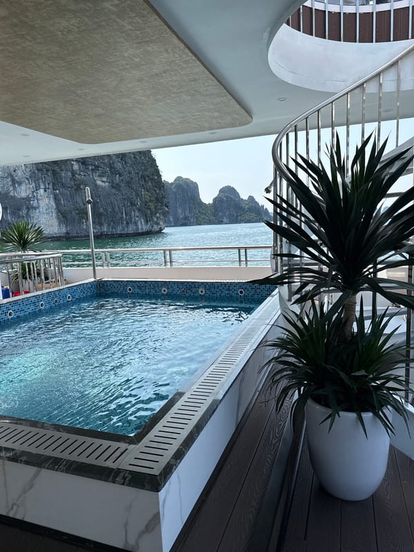 Cruise passengers capture dawn views of Ha Long Bay karsts