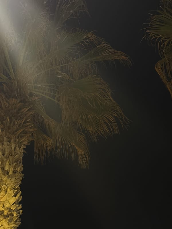 Evening scenes captured in Bat Yam with palm trees