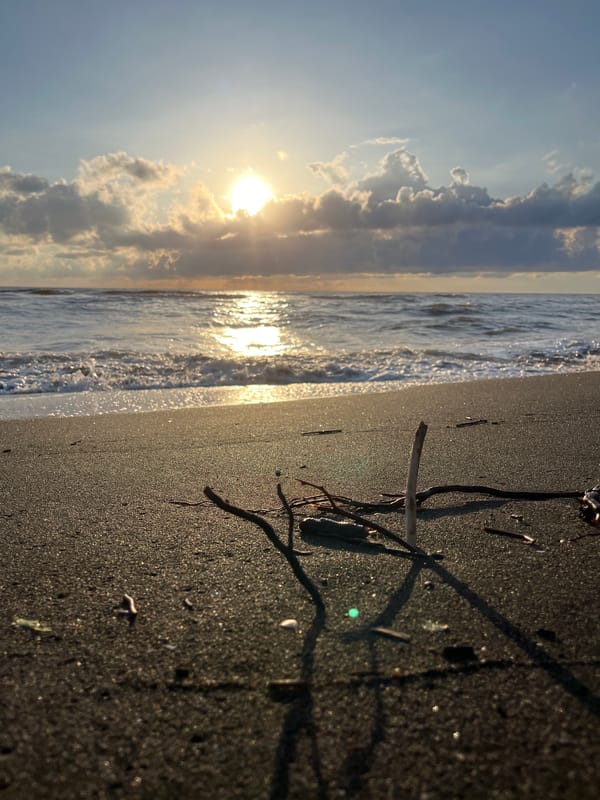 Golden light and dark sand on the Black Sea at Ureki