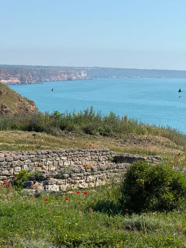 Spring wildflowers bloom along Bulgarian coastal cliffs in Balgarevo