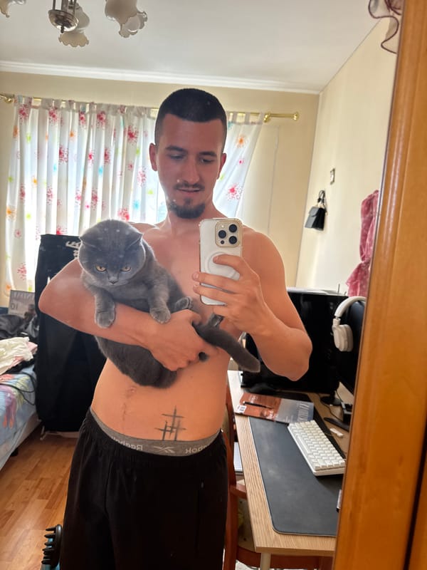 Man takes mirror selfie with grey cat in Sofia home