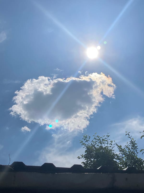 Backyard basketball, a cat in daisies, and summer skies in rural Russia