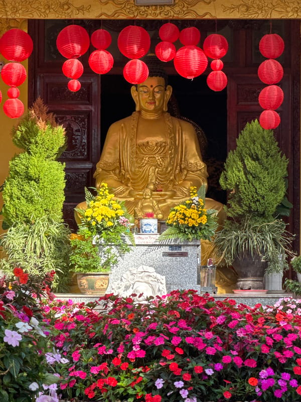 Morning life unfolds across Da Lat's parks and temples