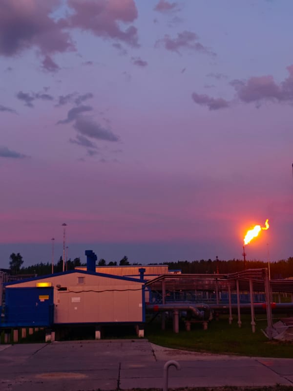 Sunset colors illuminate industrial site as bird visits concrete grounds