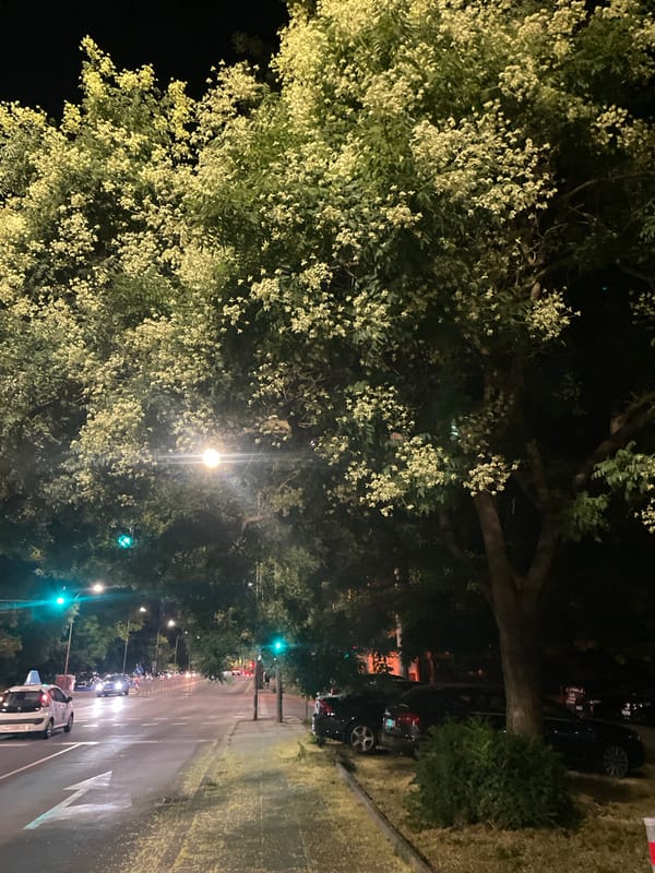 Nighttime street scene in a Burgas residential neighborhood