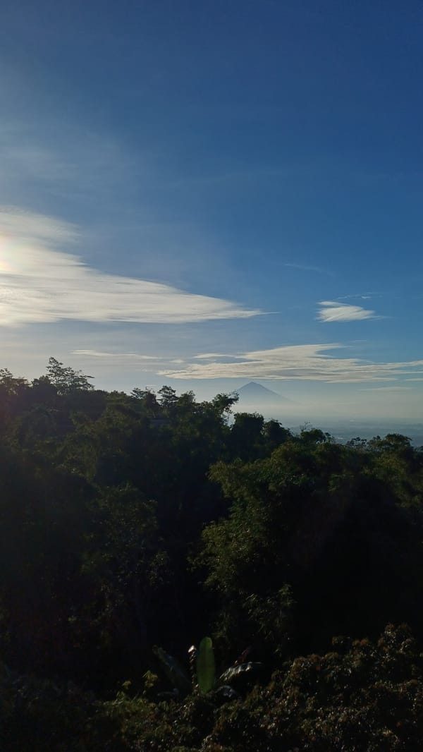Daytime scenes captured in Baturiti showing mountain views, roadside cup