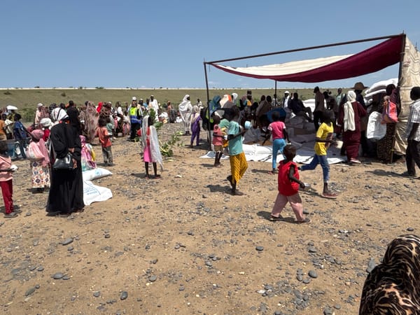 Aid distribution under way in Ad-Damazin, Sudan