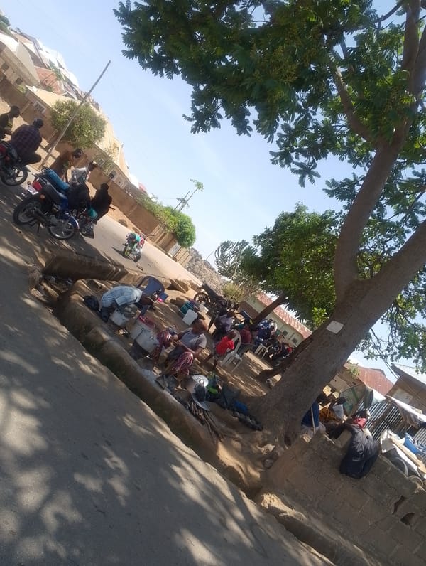 People gather under tree in urban setting