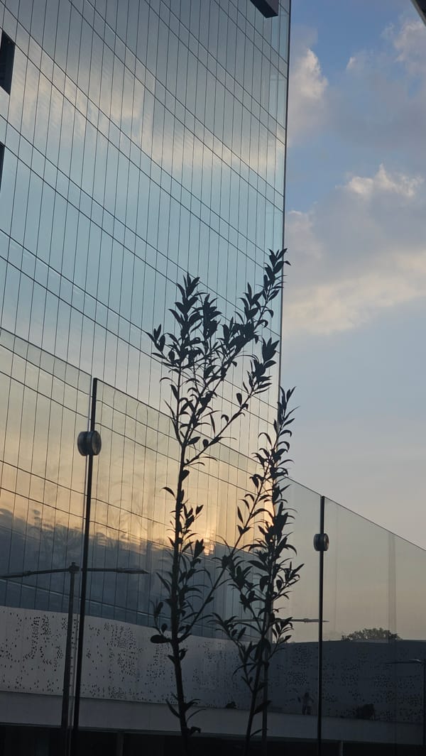 Early morning scenes documented across Puebla, Mexico locations