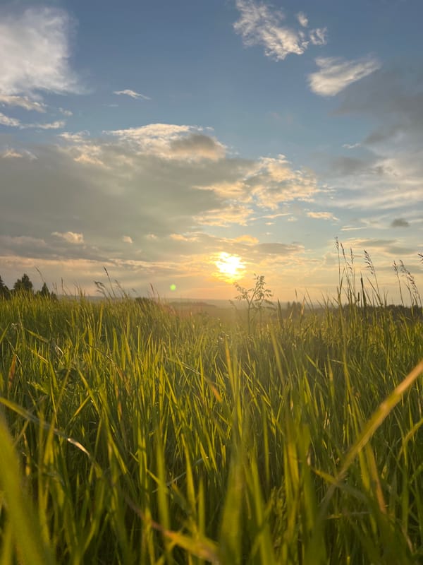 Sun and storm clouds observed over Krasnoyarsk grasslands