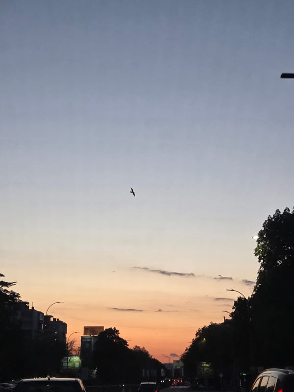 Evening scenes captured in Varna, Bulgaria including sunset and book