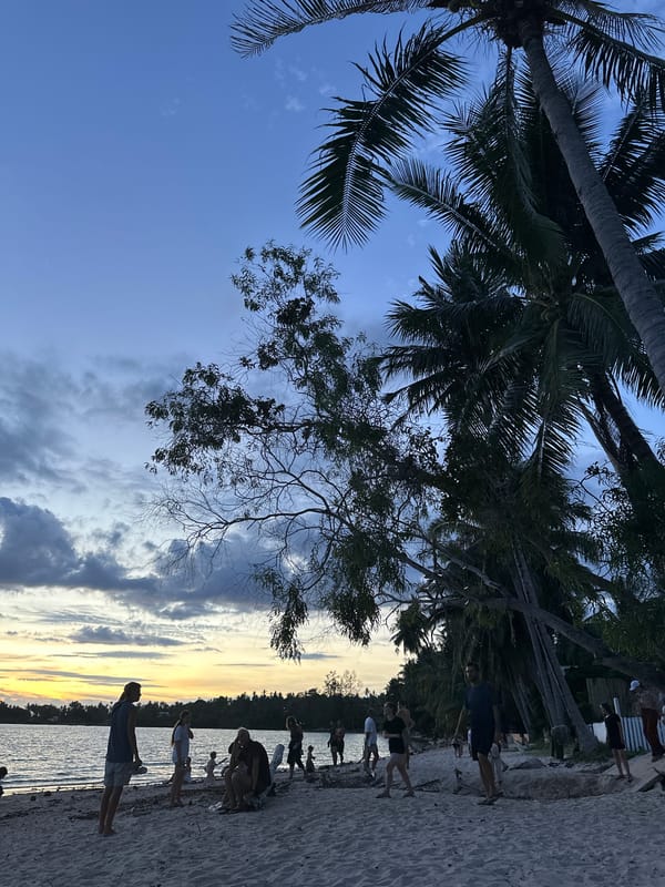 Lazy beach afternoon on Koh Phangan with palms, dogs, and sunset light