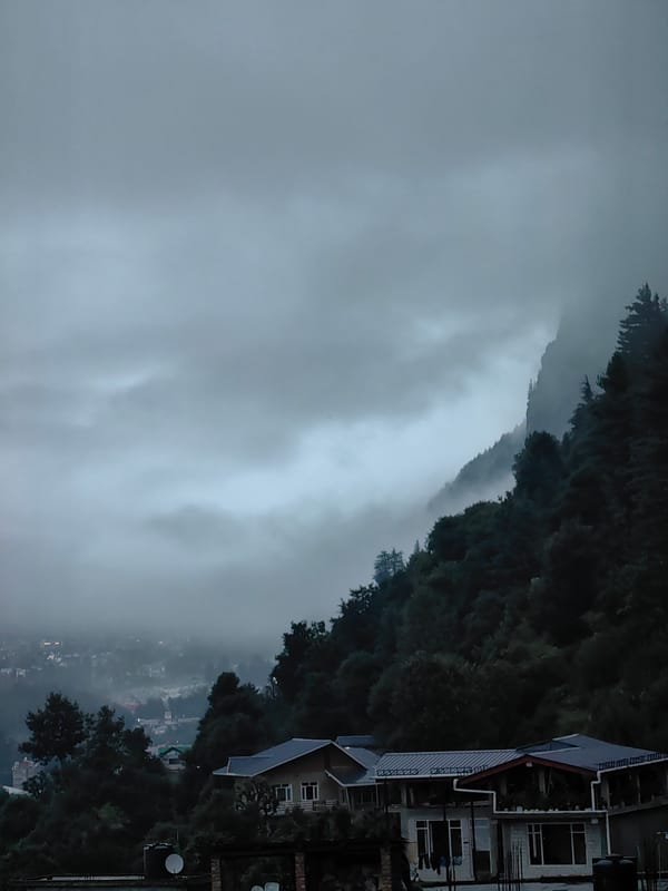 Fog blankets Vashisht's hillside village and forest on a grey morning
