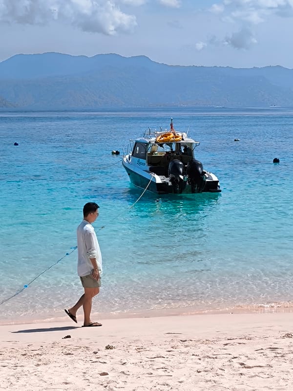 Pink sand beach and red coral on Indonesia's Komodo coast