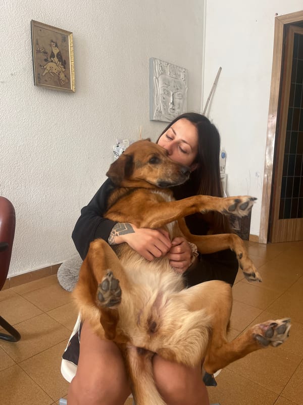 Woman embraces dog in tender moment in Barcelona