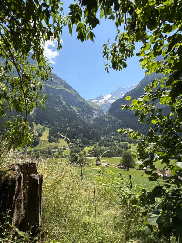 Sunny morning in Grindelwald with Alpine views all around