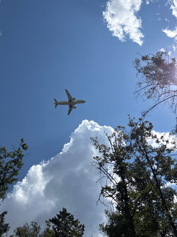 Hands-on time at a Vnukovo animal park, July 2026
