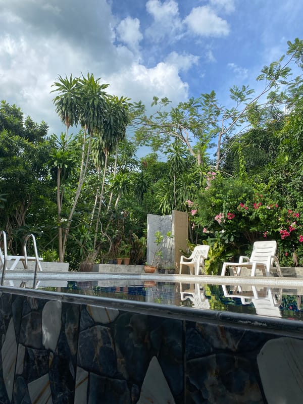 Lazy morning in a lush backyard with dogs, jackfruit, and oddities