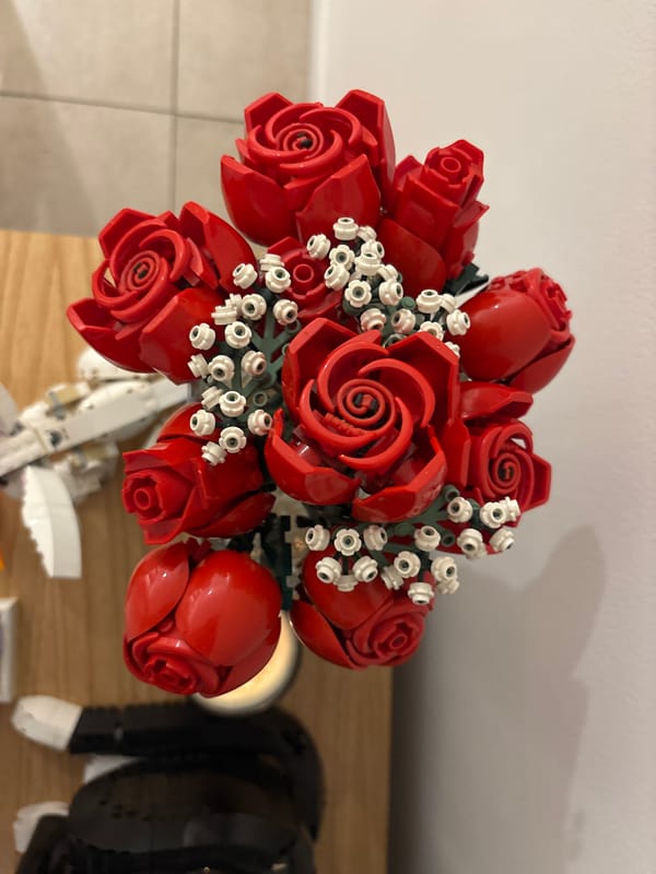 LEGO flower displays and roasted vegetables documented in Buenos Aires