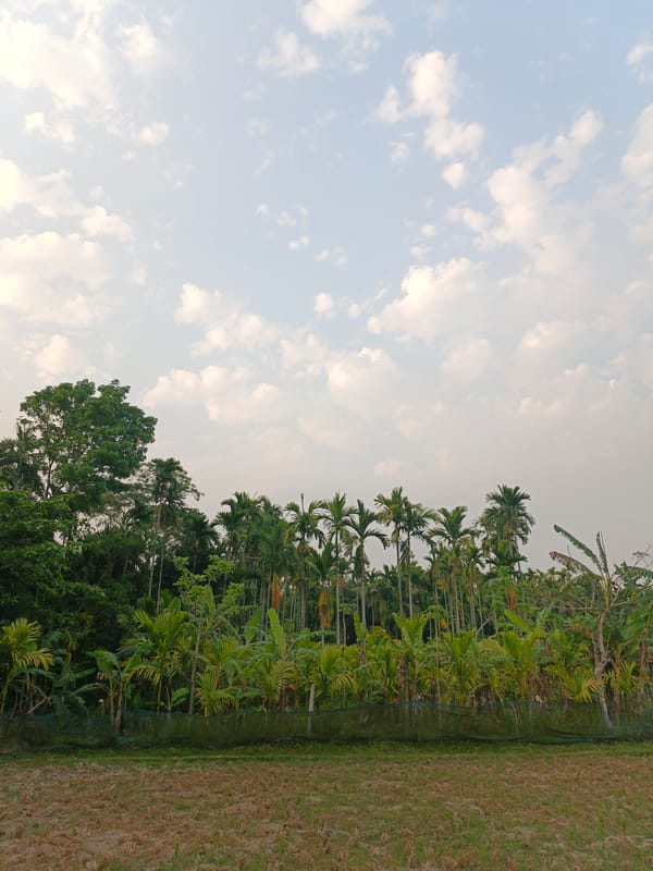 Rural Bangladesh landscapes documented in 10-minute span