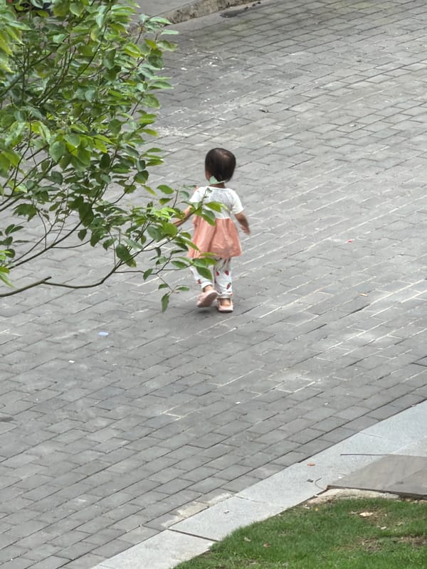 Morning pedestrian activity observed in Chongqing High-tech Zone