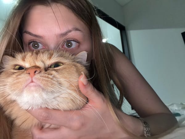 Woman holds ginger cat upside down in Đà Nẵng