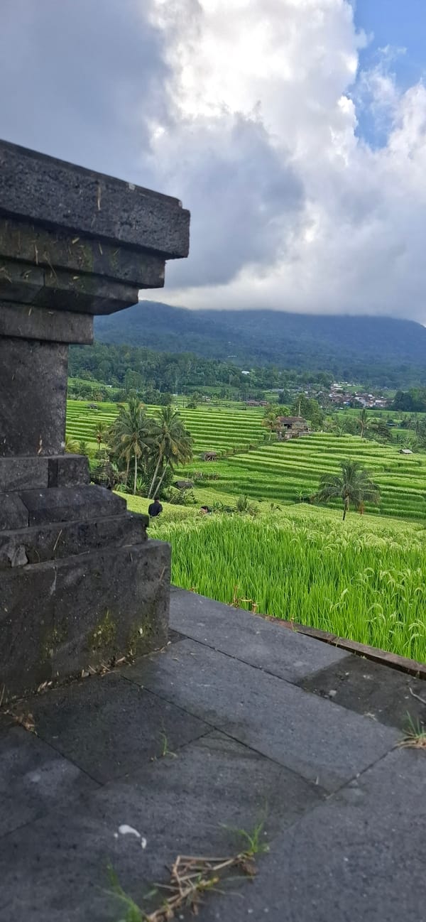 Early morning tourist activity documented in Penebel rice terraces