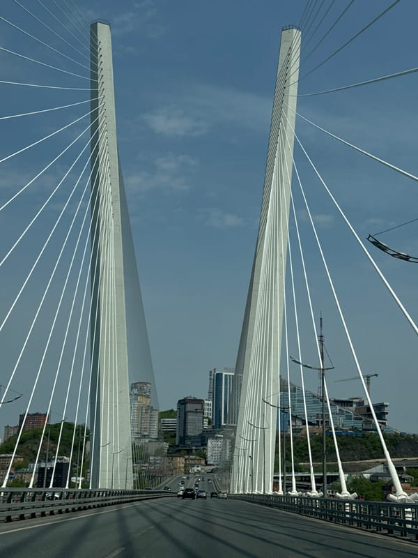 Cable-stayed bridge photographed from roadway in Vladivostok