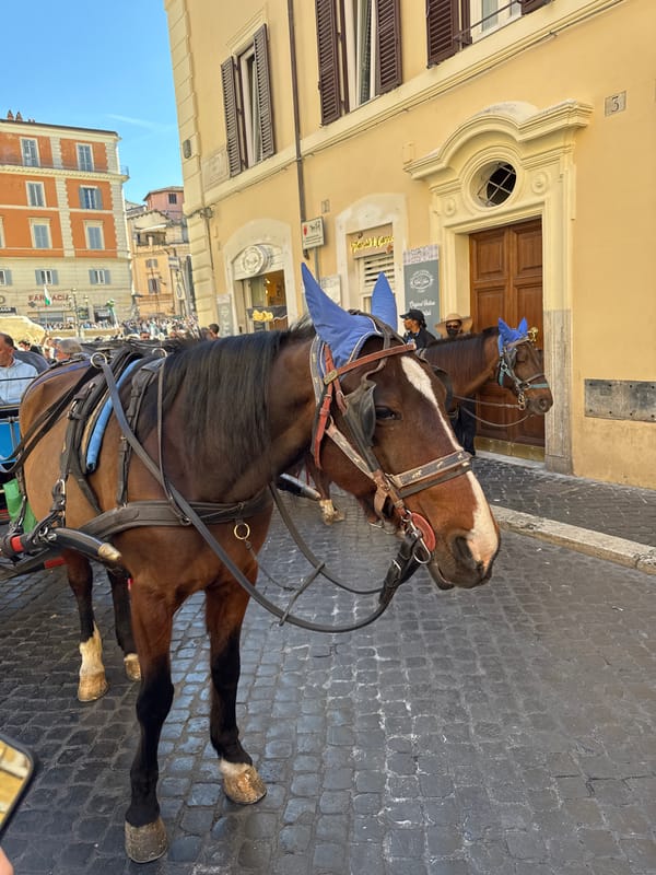 Trevi Fountain's ornate facade documented in Rome