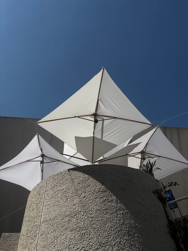 Evening campus life documented across Puebla universities