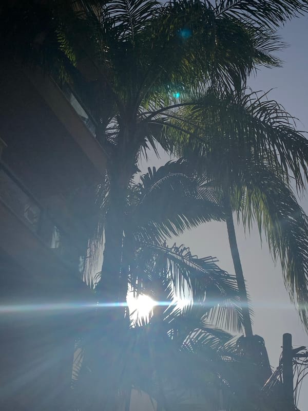 Afternoon stroll captured through Tel Aviv neighborhoods and streetscapes