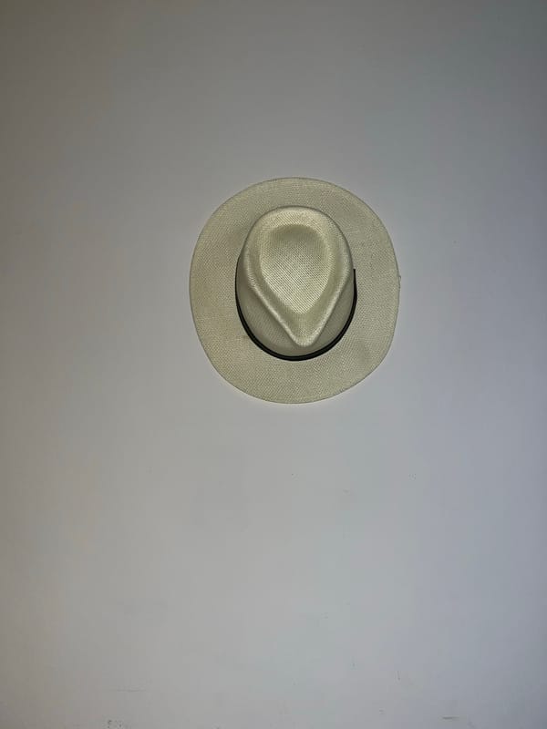 Panama hat observed on surface in Torrent, Spain